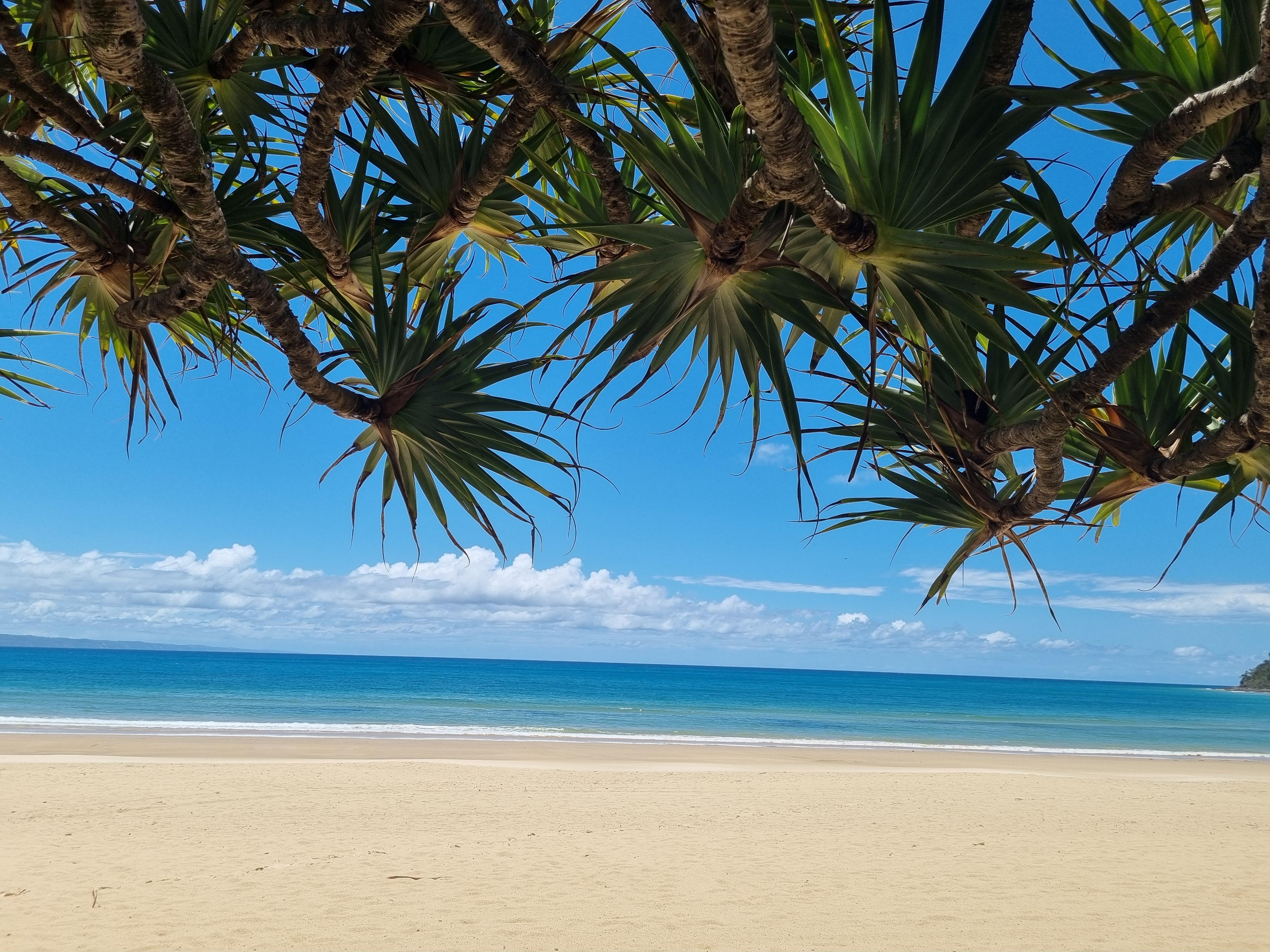 Noosa River Retreat Holiday Apartments Noosaville Eksteriør bilde
